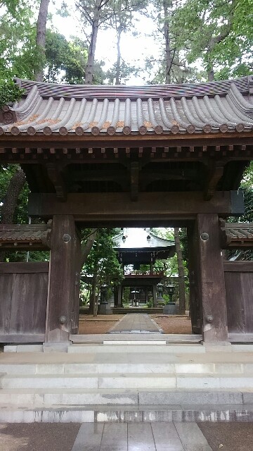 f:id:sokotujii:20180606181954j:image