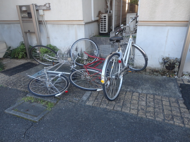 f:id:sokotujii:20181228142723j:plain