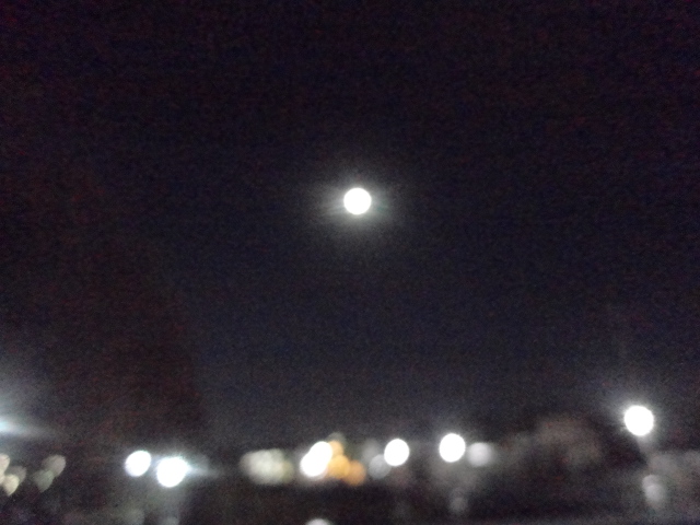 f:id:sokotujii:20181229012148j:plain