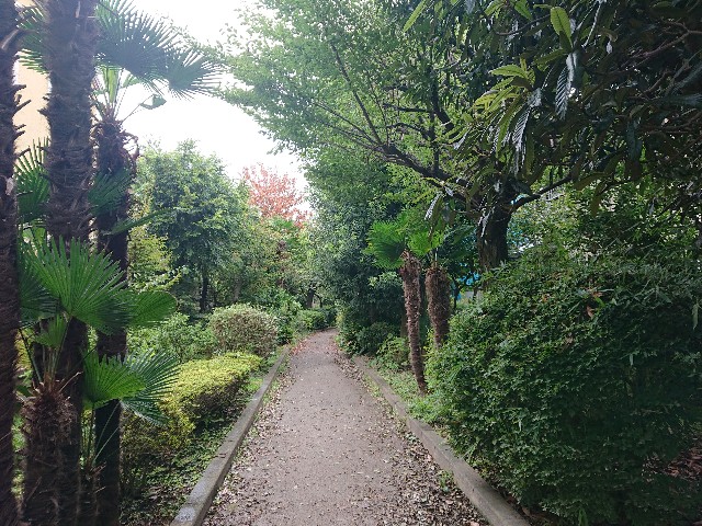 f:id:sokotujii:20190918202854j:image
