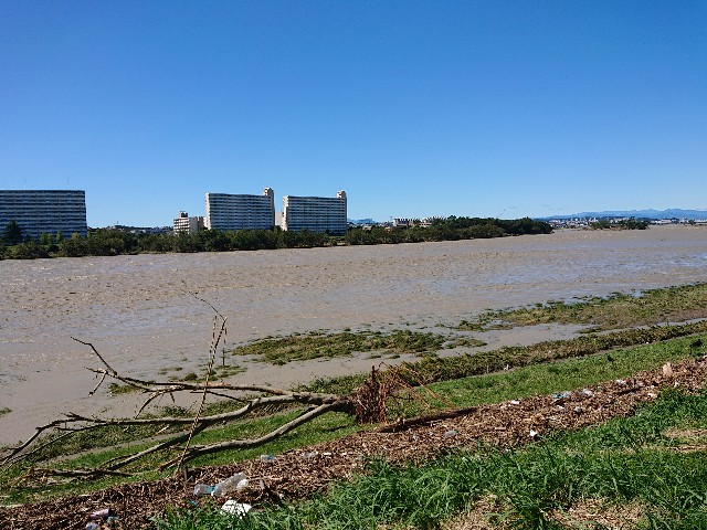f:id:sokotujii:20191013235604j:image
