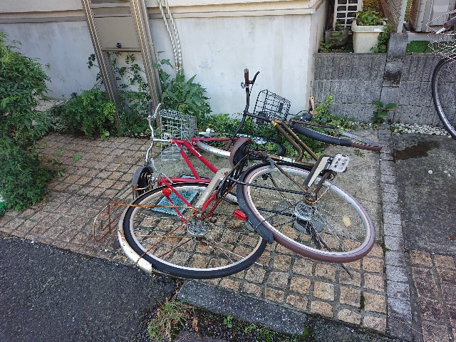 f:id:sokotujii:20191013235638j:image