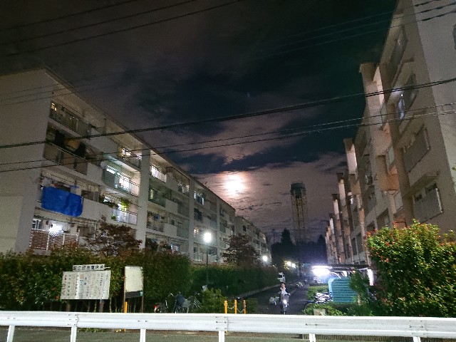 f:id:sokotujii:20191013235708j:image