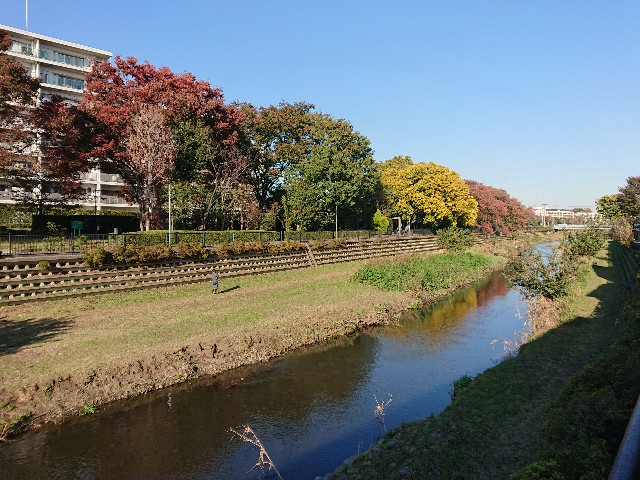 f:id:sokotujii:20191117211144j:image f:id:sokotujii:20191117211144j:image