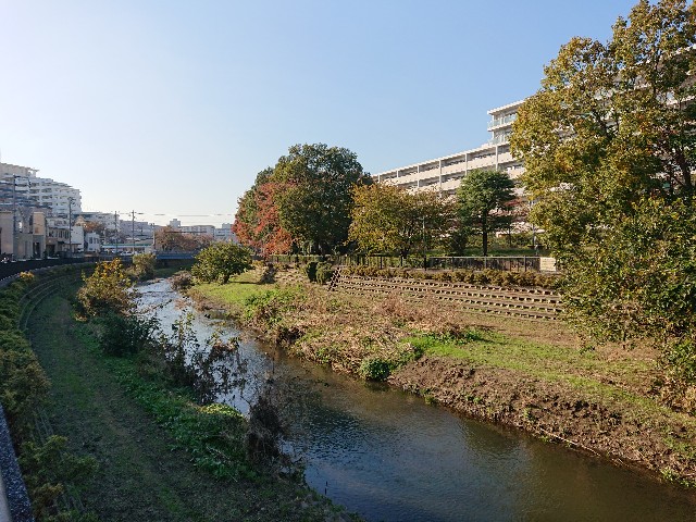 f:id:sokotujii:20191117211202j:image f:id:sokotujii:20191117211202j:image