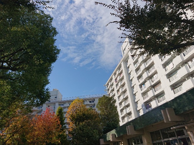 f:id:sokotujii:20191117211403j:image f:id:sokotujii:20191117211403j:image