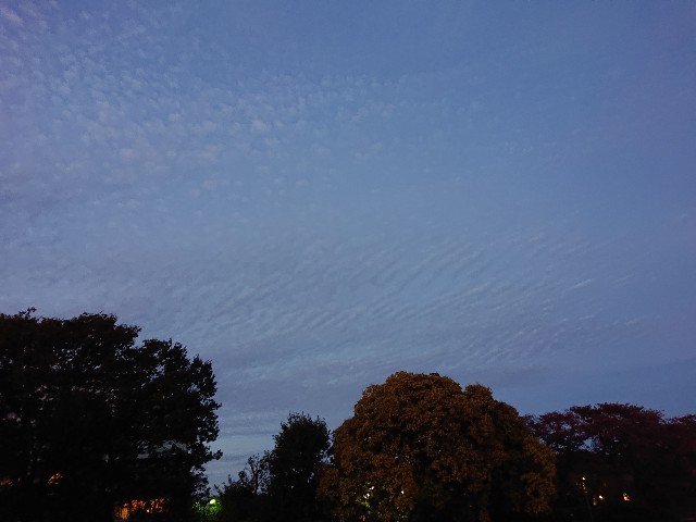 f:id:sokotujii:20191117211419j:image f:id:sokotujii:20191117211419j:image