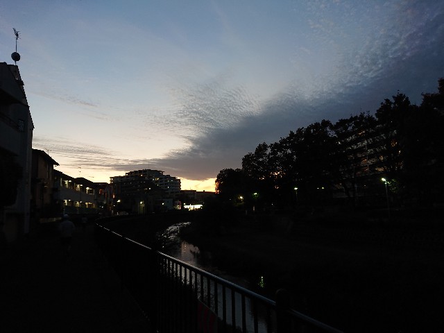 f:id:sokotujii:20191117211435j:image f:id:sokotujii:20191117211435j:image