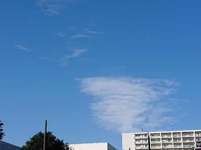 f:id:sokotujii:20191121102043j:image