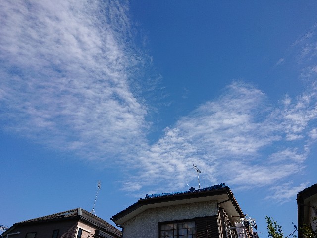 f:id:sokotujii:20191121102055j:image