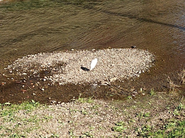 f:id:sokotujii:20191121102302j:image