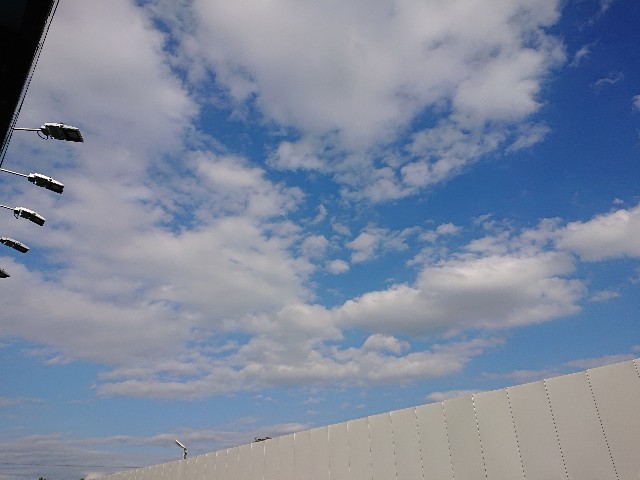 f:id:sokotujii:20191121102426j:image