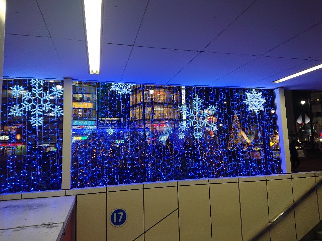 f:id:sokotujii:20191121102502j:image