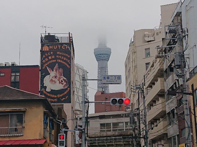 f:id:sokotujii:20191125133050j:image