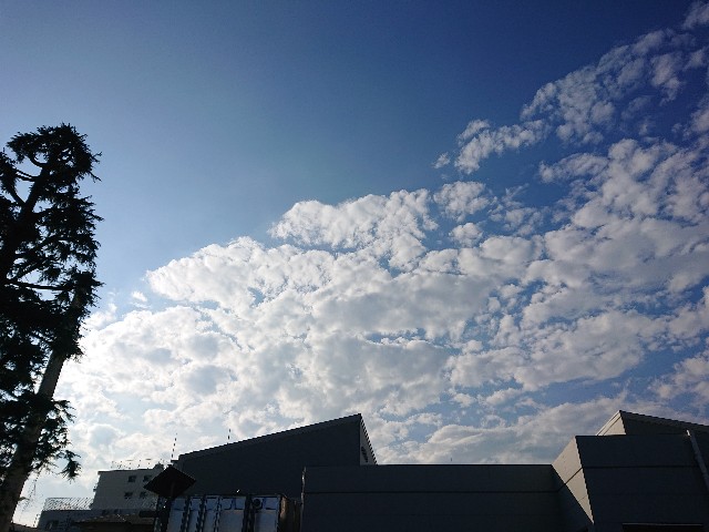 f:id:sokotujii:20191125135342j:image