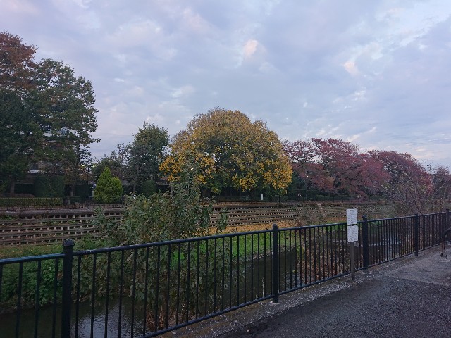 f:id:sokotujii:20191128155518j:image