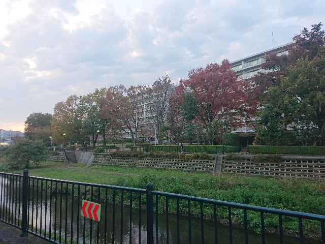 f:id:sokotujii:20191128155534j:image