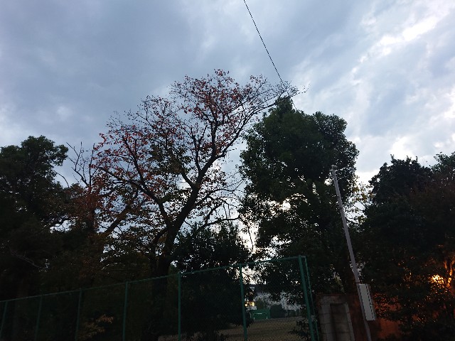 f:id:sokotujii:20191128155610j:image