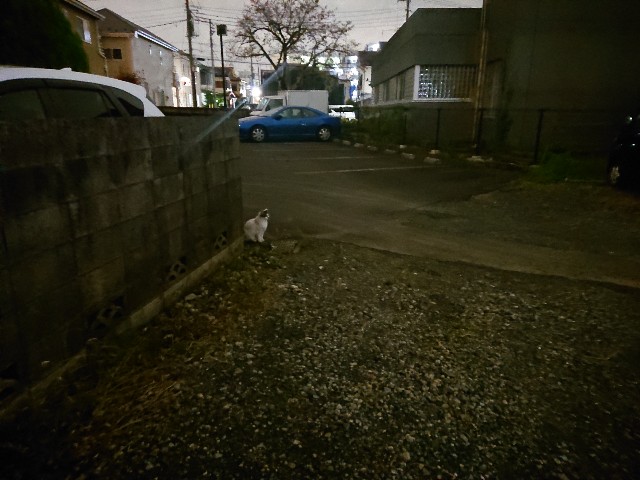 f:id:sokotujii:20191128155720j:image