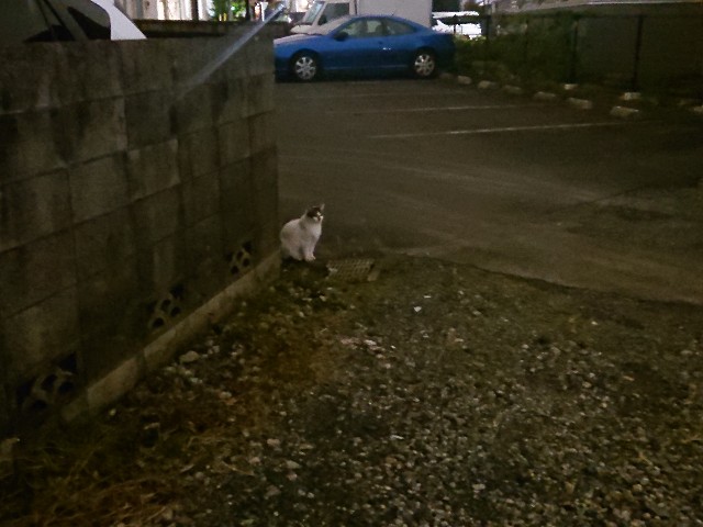 f:id:sokotujii:20191128155731j:image