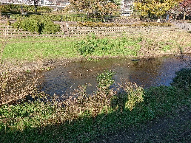 f:id:sokotujii:20191130151519j:image