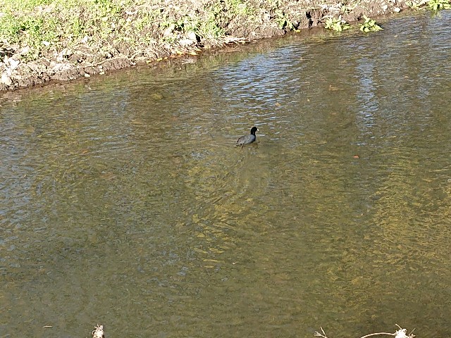 f:id:sokotujii:20191130151603j:image