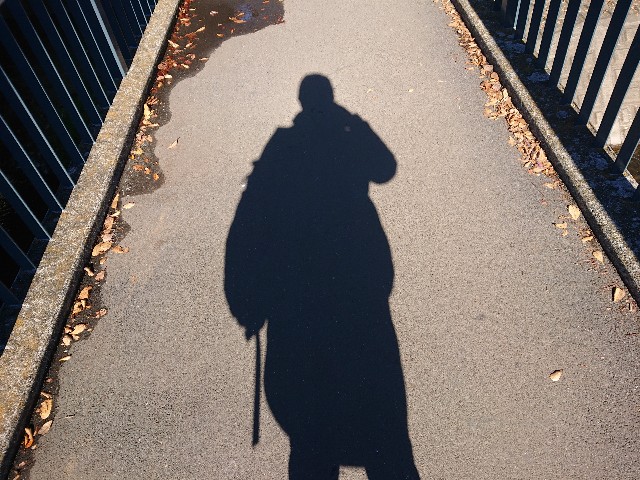 f:id:sokotujii:20191203224953j:image