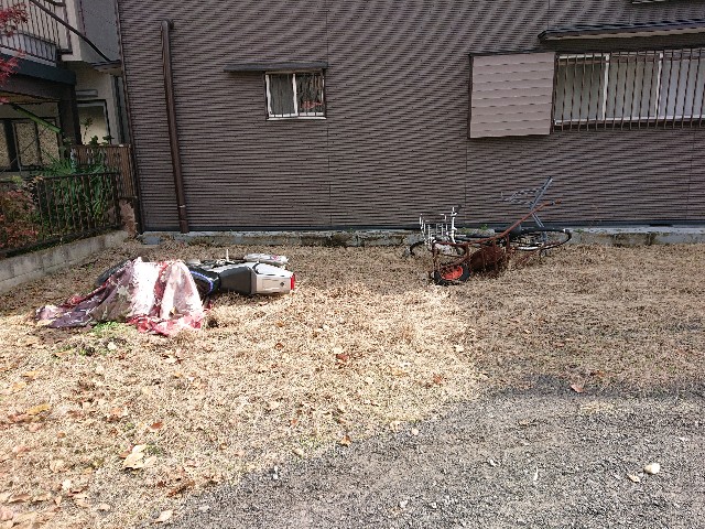 f:id:sokotujii:20191203225045j:image