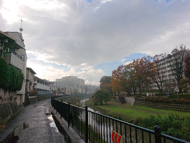 f:id:sokotujii:20191203225104j:image