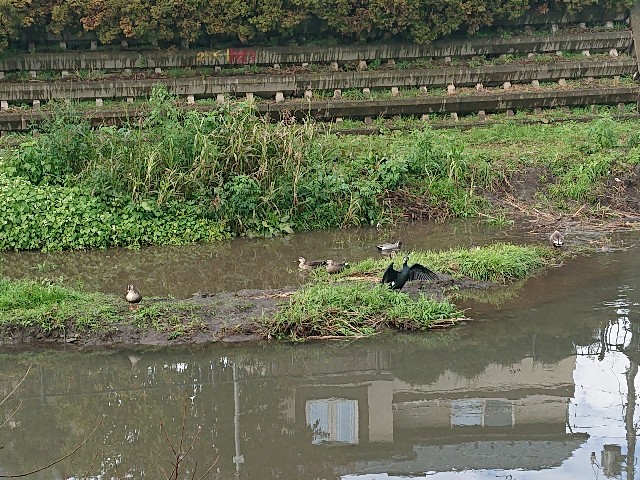 f:id:sokotujii:20191203225123j:image