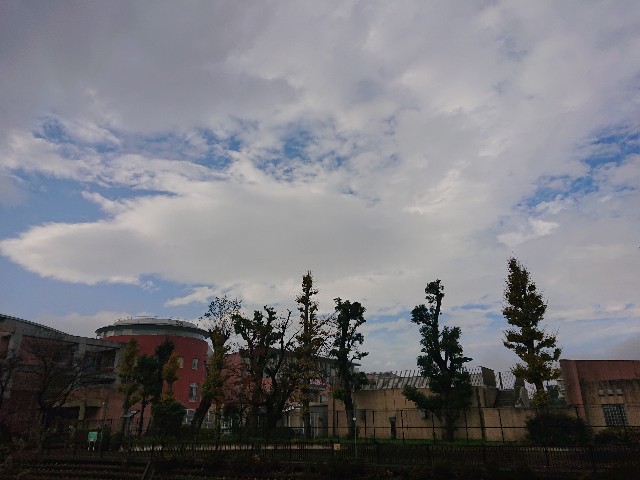 f:id:sokotujii:20191203225225j:image