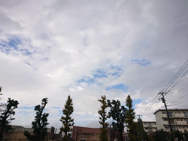 f:id:sokotujii:20191203225238j:image