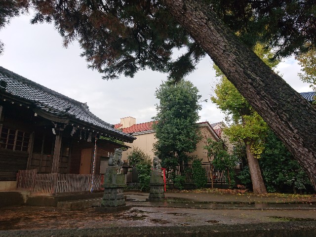 f:id:sokotujii:20191203225334j:image