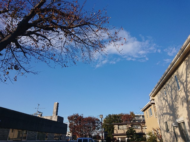 f:id:sokotujii:20191206234335j:image