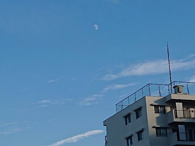 f:id:sokotujii:20191206234354j:image