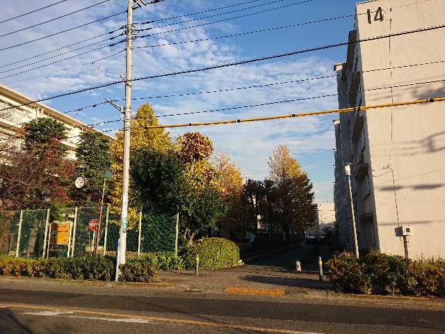 f:id:sokotujii:20191206234409j:image