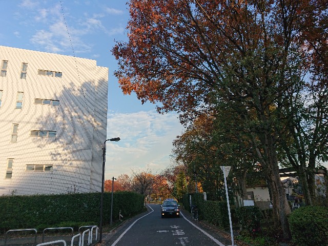 f:id:sokotujii:20191206234521j:image