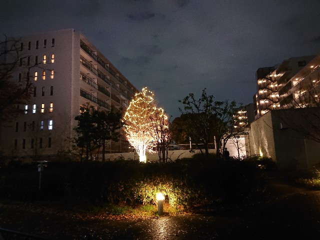 f:id:sokotujii:20191206234623j:image