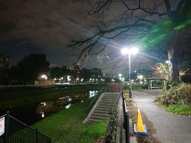 f:id:sokotujii:20191206234816j:image