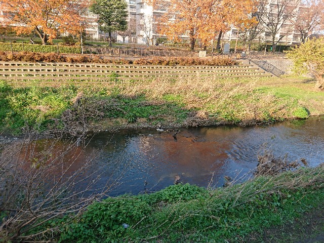 f:id:sokotujii:20191215203728j:image