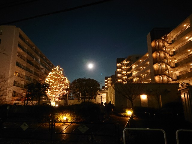 f:id:sokotujii:20191215203816j:image