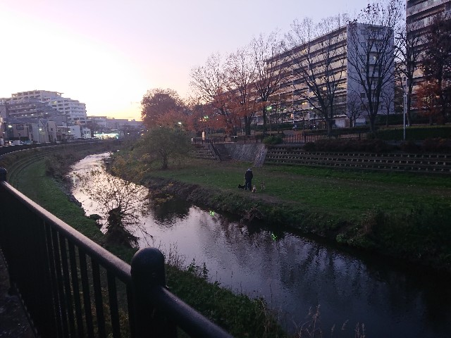 f:id:sokotujii:20191215203949j:image