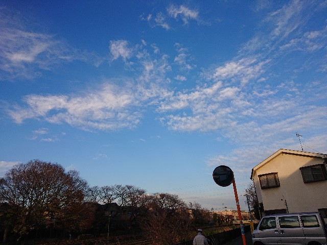 f:id:sokotujii:20191215204046j:image