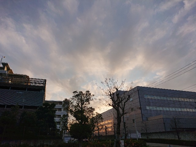 f:id:sokotujii:20191215204103j:image