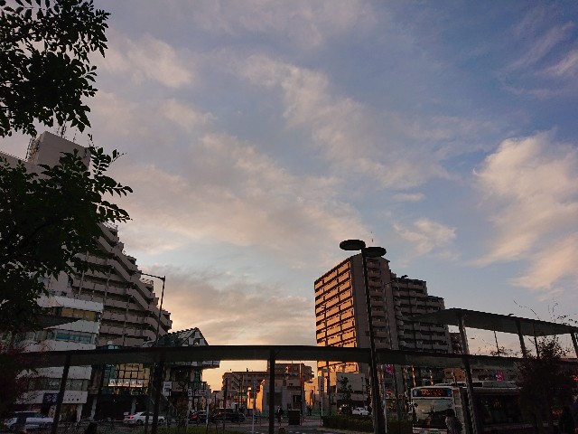 f:id:sokotujii:20191215204121j:image