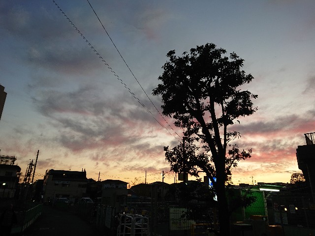 f:id:sokotujii:20191215204229j:image