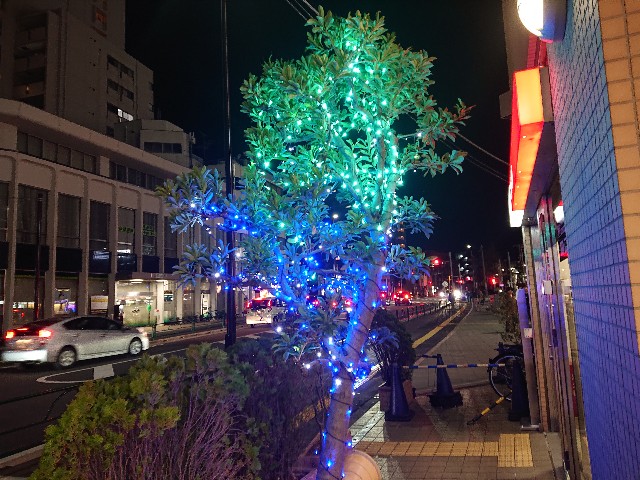 f:id:sokotujii:20191215204335j:image