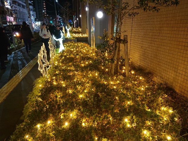 f:id:sokotujii:20191215204419j:image