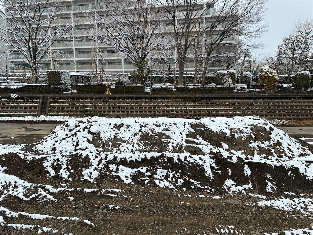 f:id:sokotujii:20260208142700j:image