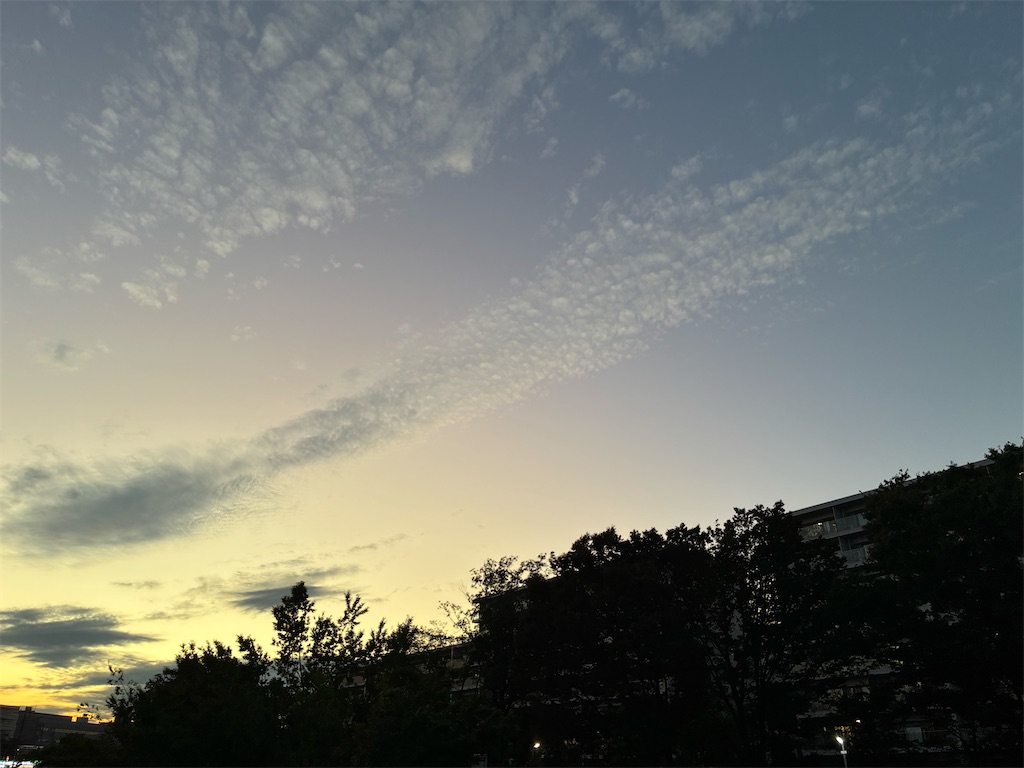 f:id:sokotujii:20261006170526j:image